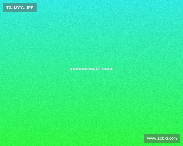 纽卡为维萨提出更高报价 小蜜蜂要价4000万镑成交易核心